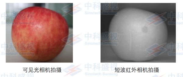 圖片1(1)(1).png